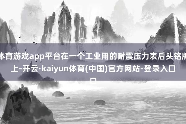体育游戏app平台在一个工业用的耐震压力表后头铭牌上-开云·kaiyun体育(中国)官方网站-登录入口