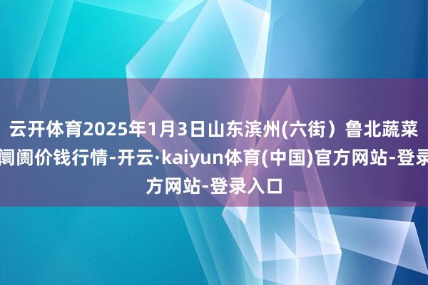 云开体育2025年1月3日山东滨州(六街）鲁北蔬菜批发阛阓价钱行情-开云·kaiyun体育(中国)官方网站-登录入口