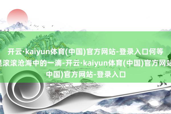 开云·kaiyun体育(中国)官方网站-登录入口何等单薄；我是滚滚沧海中的一滴-开云·kaiyun体育(中国)官方网站-登录入口